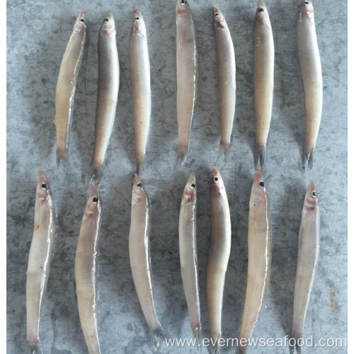New frozen sand lance for sale